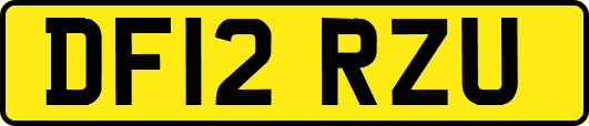 DF12RZU
