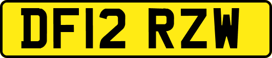 DF12RZW