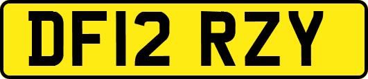 DF12RZY