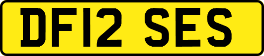 DF12SES