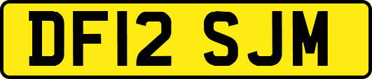 DF12SJM