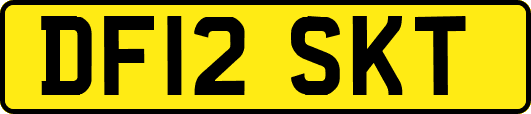 DF12SKT