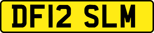 DF12SLM