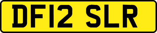 DF12SLR