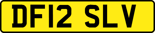 DF12SLV