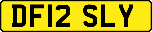 DF12SLY
