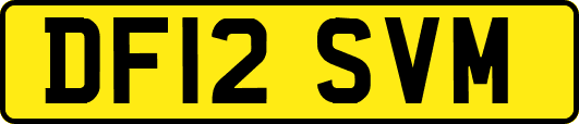 DF12SVM