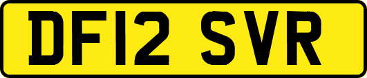 DF12SVR