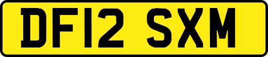 DF12SXM