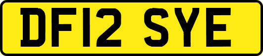 DF12SYE