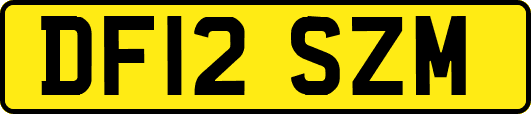 DF12SZM