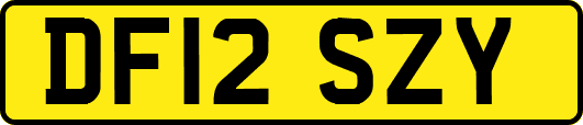 DF12SZY