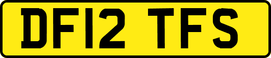 DF12TFS