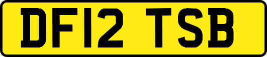 DF12TSB
