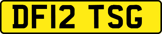 DF12TSG