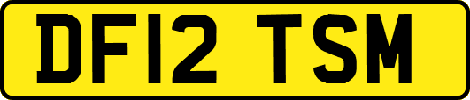 DF12TSM