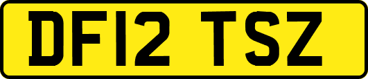 DF12TSZ