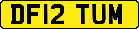 DF12TUM