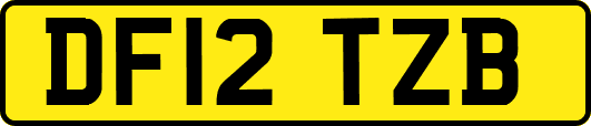 DF12TZB