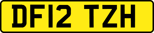 DF12TZH