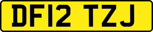 DF12TZJ