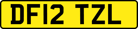 DF12TZL