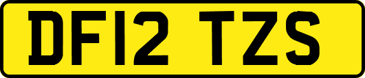 DF12TZS