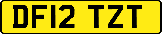 DF12TZT