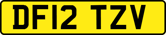 DF12TZV