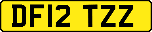 DF12TZZ