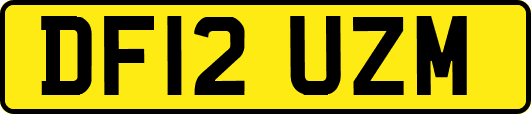 DF12UZM