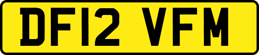 DF12VFM
