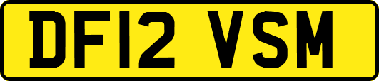 DF12VSM
