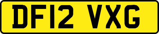 DF12VXG