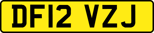 DF12VZJ