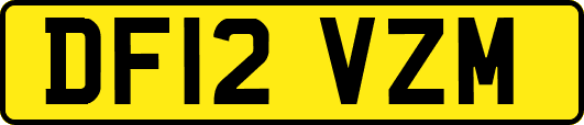 DF12VZM