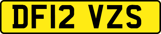 DF12VZS