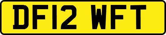 DF12WFT