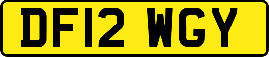DF12WGY