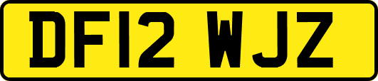 DF12WJZ