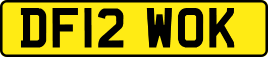 DF12WOK