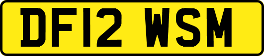 DF12WSM