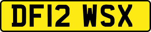 DF12WSX