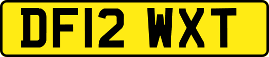 DF12WXT