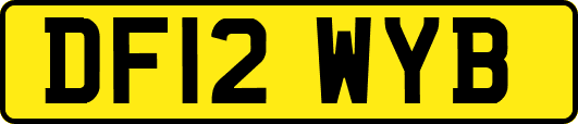 DF12WYB