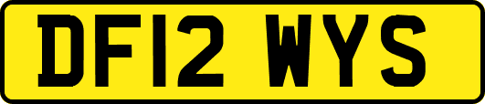 DF12WYS