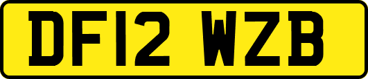 DF12WZB
