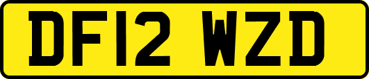 DF12WZD
