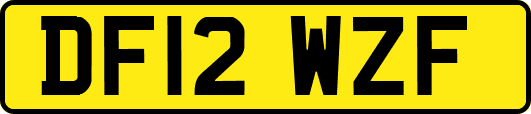 DF12WZF