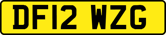 DF12WZG